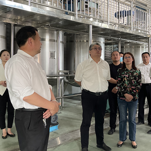 Big Tree Group Launches Plant-Based Enzymatic Hydrolysis & Small-Molecule Active Peptide Smart Workshops